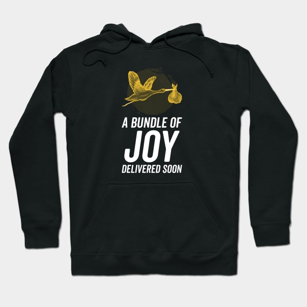 A Bundle of Joy Hoodie by KazSells